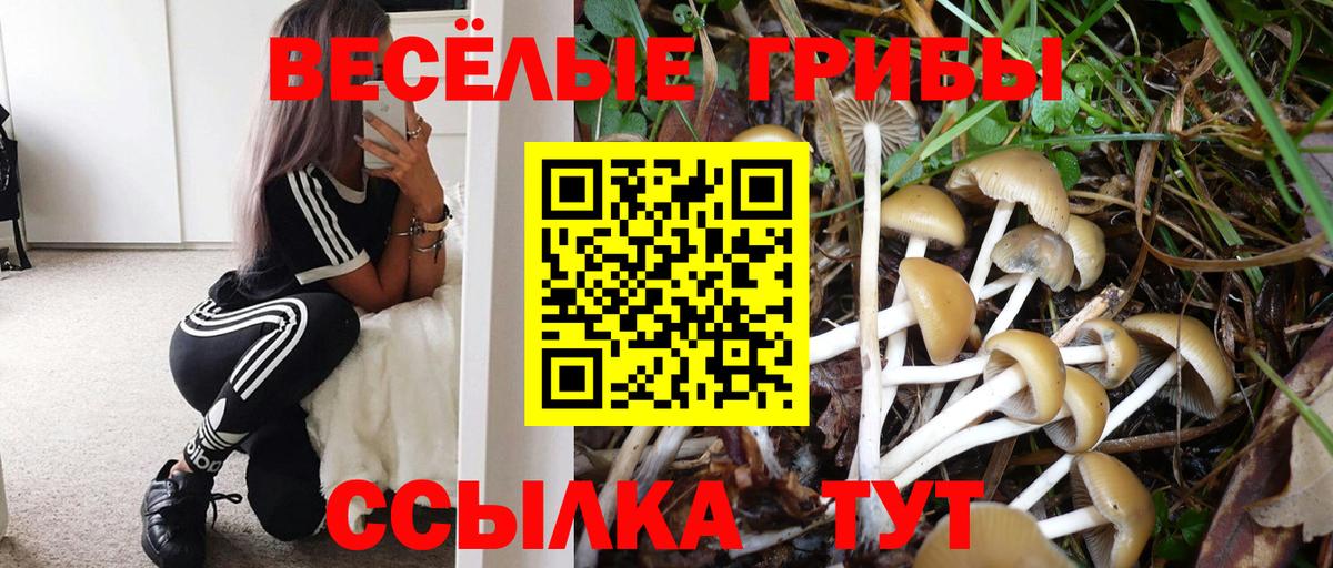 Галлюциногенные грибы Magic Shrooms  Вход с VPN  Калач-на-Дону 